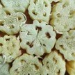 LoofCo Luffa mosogatószivacs - 1 db