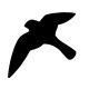 Raptorial bird silhouette