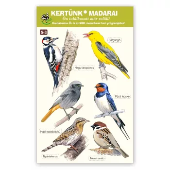   Kertünk madarai - ablakmatrica csomag - 5-3 (Nagy fakopáncs… Mezei veréb)