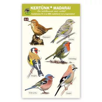   Kertünk madarai - ablakmatrica csomag - 5-1 (Ökörszem... Szajkó)