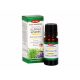 Helen Essential Oil Blend - Mosquito Stop