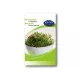 Rédei Bio zsázsamag csíráztatásra - 60 g