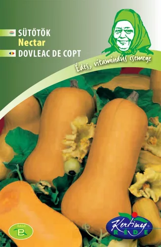 Rédei vetőmag - Sütőtök (Nectar Orange)