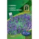 Rédei fűszernövény vetőmag - Levendula (Lavandula officinalis)