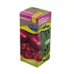 Rédei dughagyma - Red Carmen lilahagyma 300 g