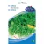 Rédei vetőmag balkonra - Rukola (Borsmustár)