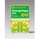 Greenester Öko mosogatógép por - teafa illattal, 1 kg