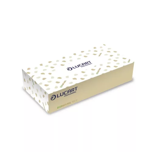 Lucart újrahasznosított, dobozos kozmetikai kendő - 2 rétegű, 100 db (EcoNatural 100 V)