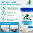 Mr. Bacteria No.1 - Biológiai szennyvízkezelő, emésztőgödör tisztító készítmény - 500 g