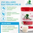 Mr. Bacteria No.5 - Biológiai lefolyótisztító - 500 g