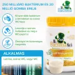 Mr. Bacteria No.6 - Biológiai tisztító latrina, kerti wc szagtalanításához - 500 g