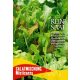 Organic seeds - Salad mix - Misticanza
