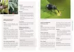 Elisabeth Koppenstein (GARTENleben): Növényvédelem vegyszerek nélkül a kiskertekben
