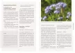 Elisabeth Koppenstein (GARTENleben): Növényvédelem vegyszerek nélkül a kiskertekben
