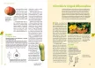 Helga Buchter-Weisbrodt: Sütőtök és cukkini