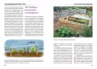 Heide Lorey: Téli zöldségeskert