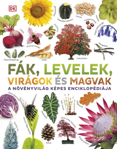 dr. Sarah Jose, dr. Chris Clennett: Fák, levelek, virágok és magvak