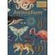 Jenny Broom - Katie Scott: Animalium - Üdvözlünk a múzeumban!