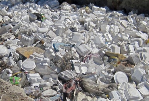 Costa Rica Has Banned Styrofoam — A Major Win for the Environment