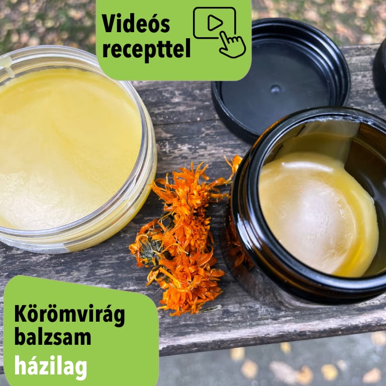 Házi körömvirágkrém recept – természetes bőrápolás egyszerűen