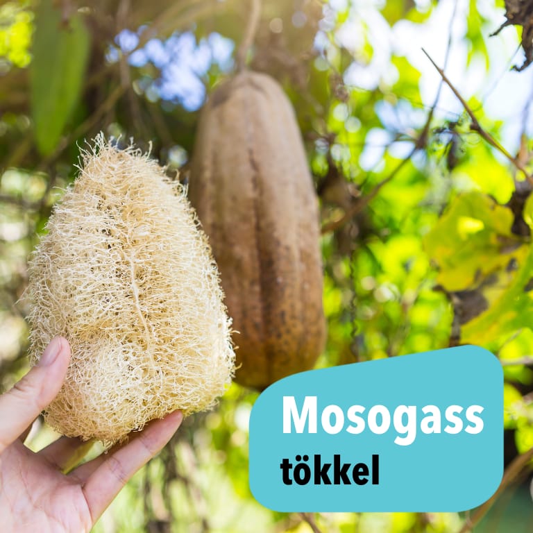 Mosogass tökkel - Luffa, a természetes és fenntartható megoldás a mosogatásban - Zöldbolt cikk